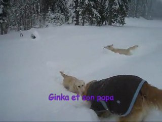 d'Jack & Benji chez Ginka en Suisse