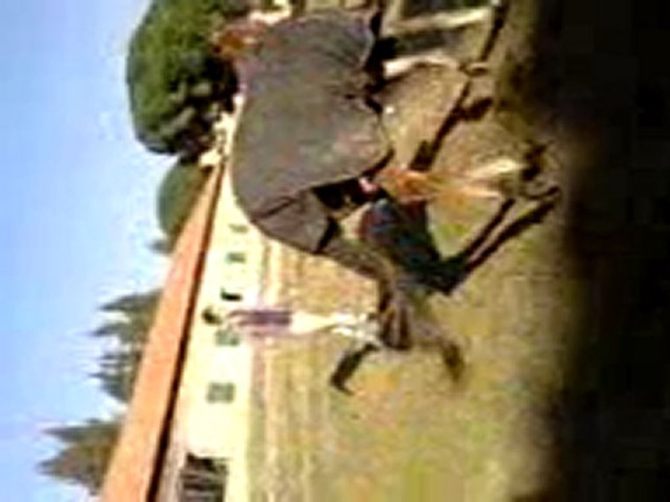 Sully et moi en rond de longe dans le parc :