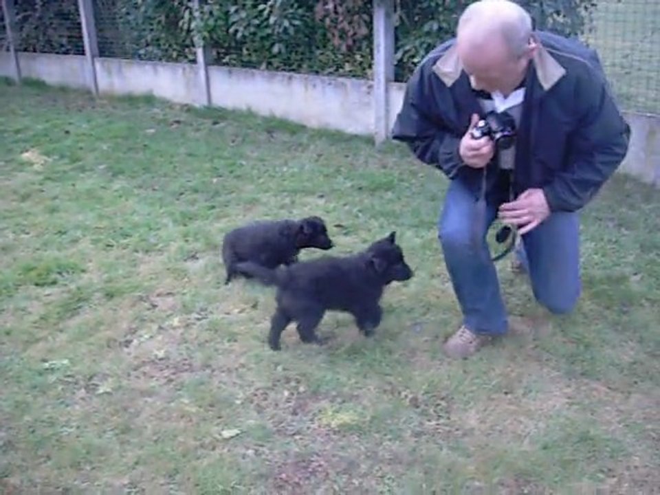 26 février 2012 (2) : chahut avec Marie-Paule