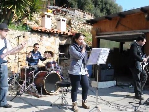 BIS seven nation army (white stripe)