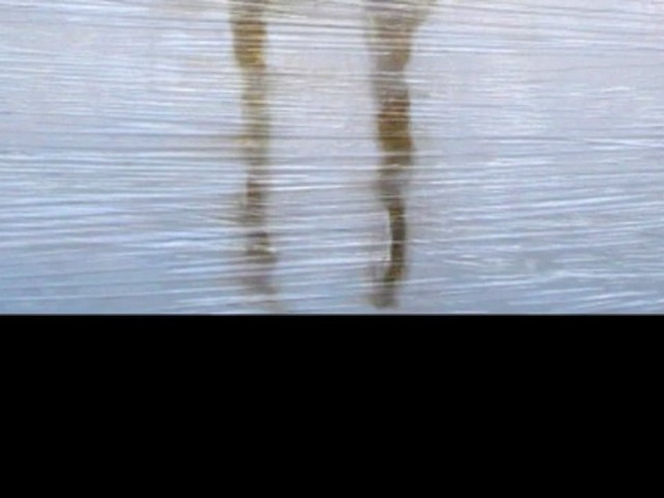 STÖRBILDER PART I | EXHIBITION PRODUZENTENGALERIE MÜNCHEN | REINER HEIDORN | CLONBOY