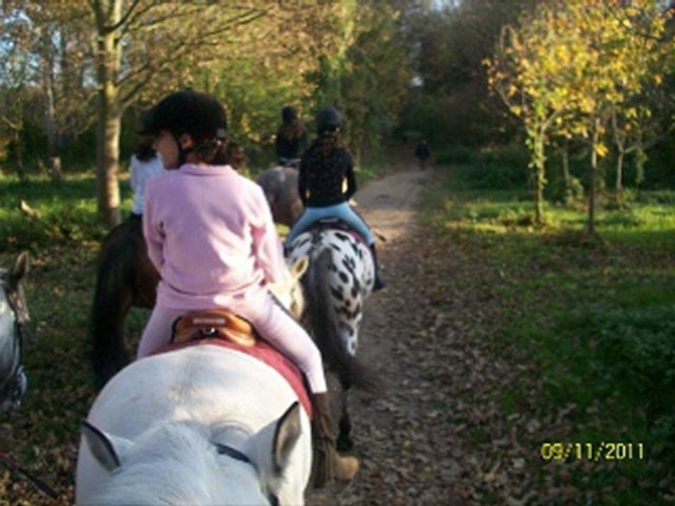 port aux cerises 2011-2012