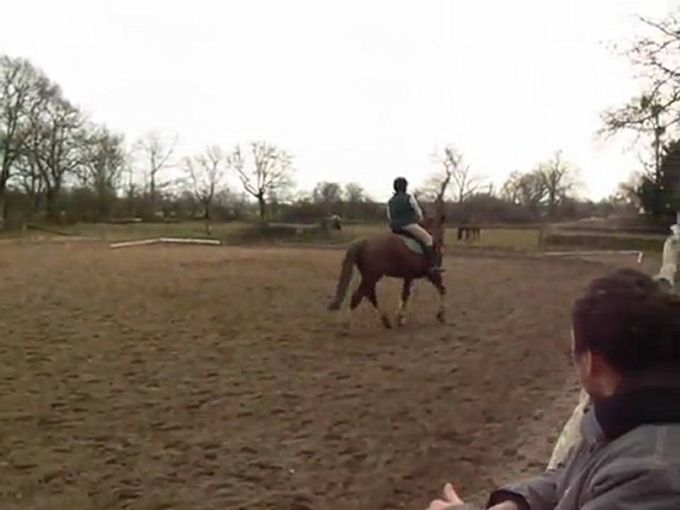 Annie sur Falco jeudi 23 février 2012