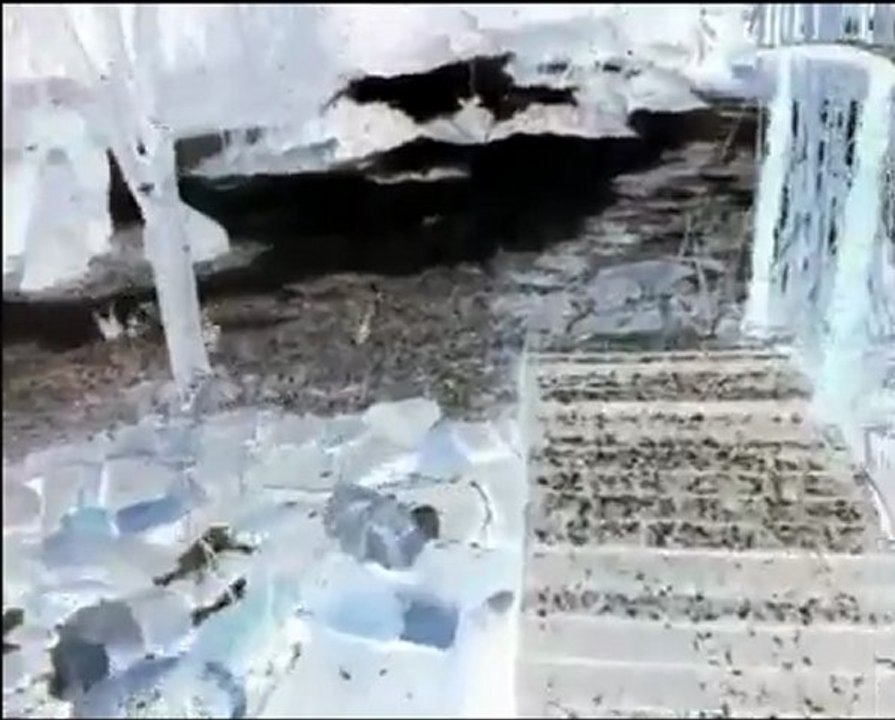 Zycie jak pudelko czekoladek_0