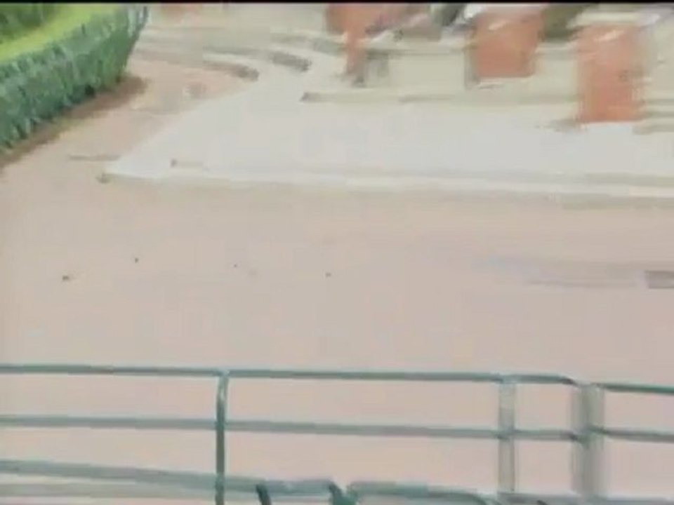 Ducks blown off their feet by the wind - YouTube Funny VIDEO