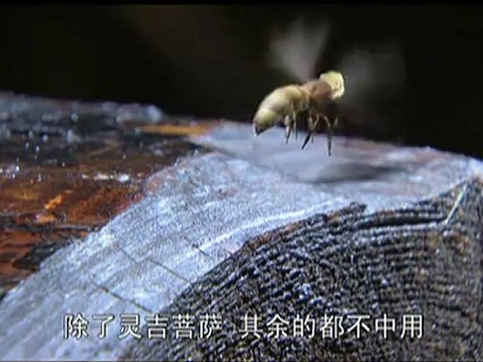 新西游记 第12集