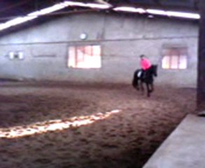 Ydalgo et moi au galop sur un cercle