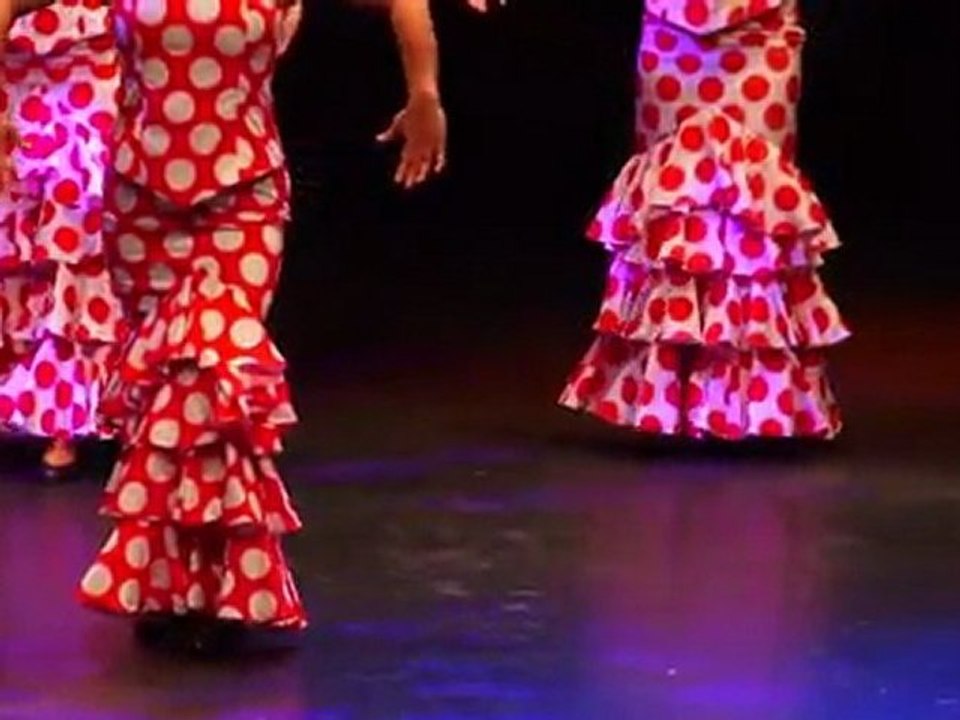 260212 Celebració dia Andalusia a Sant Andreu de la Barca