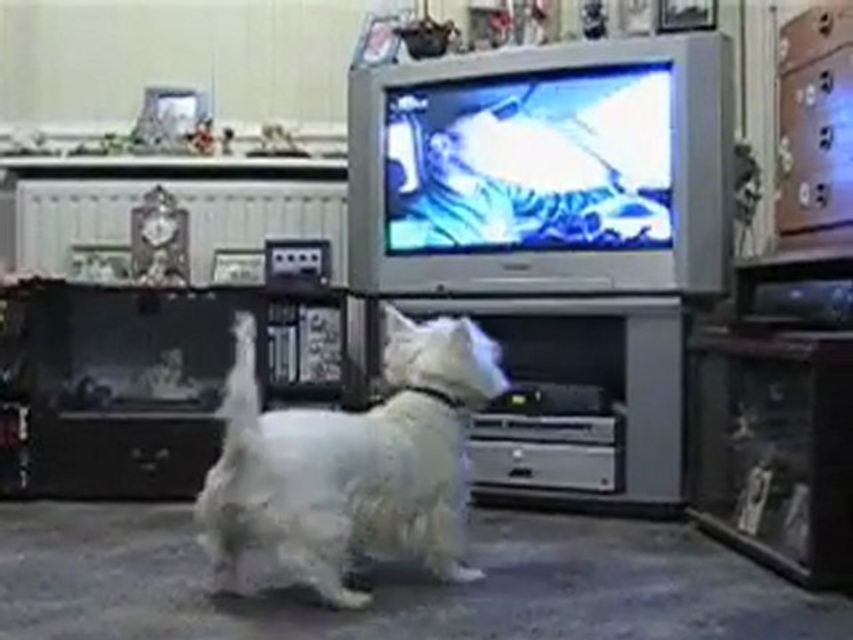 Attack !