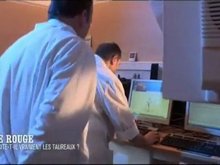 Voir tourner la terre - Maison comestible - Le rouge excite les tauraux (On n'est pas que des cobayes)