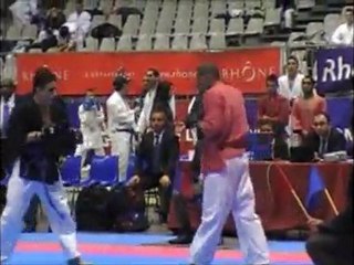 france 2012- karaté jutsu  -   nicolas