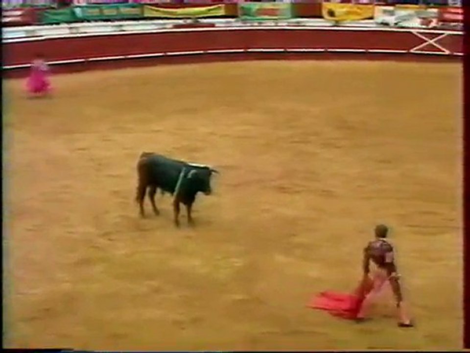 TOROMANIA 1994 RAFAELILLO
