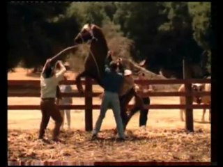 Mark Harmon in Harts of the West