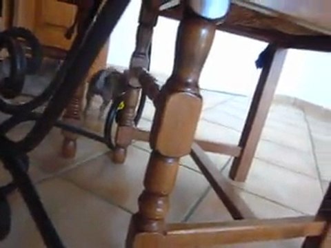 Les deux poil long de Foxy, couleurs beige chocolaté, un mâle et une femelle lof !