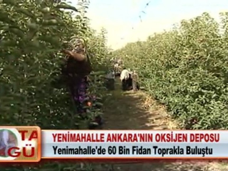 YENİMAHALLE ANKARA’NIN OKSİJEN DEPOSU 21.02.2012