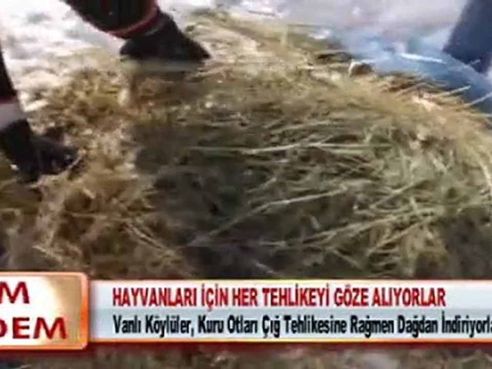 HAYVANLARI İÇİN HER TEHLİKEYİ GÖZE ALIYORLAR 23.02.2012