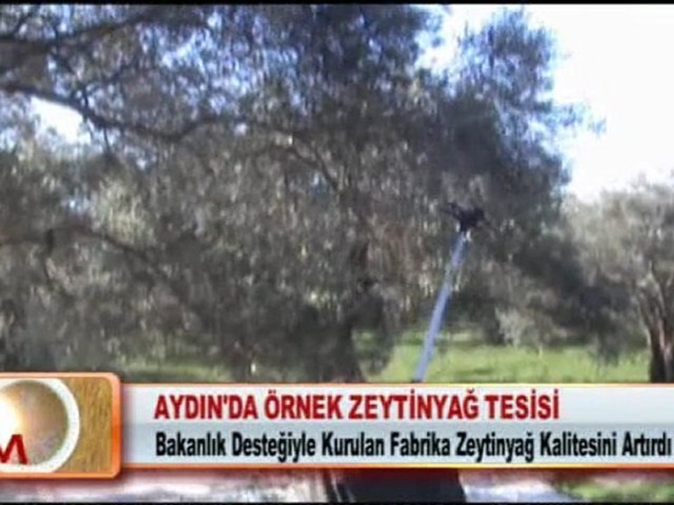 AYDIN’DA ÖRNEK ZEYTİNYAĞ TESİSİ 27.02.2012