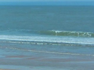 Lundi 27 Février - Surf report vidéo 11H30