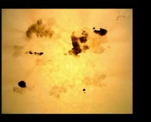 Improvisation　Ⅱ （学生作品）