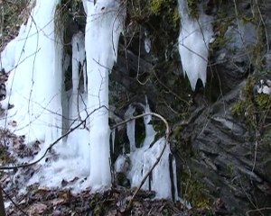 Boucle du ruisseau de la Terrasse - Chartreuse
