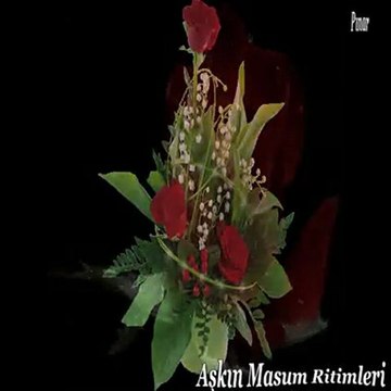 SİNAN ÖZEN // KAPINA KIRMIZI BİR GÜL BIRAKTIM