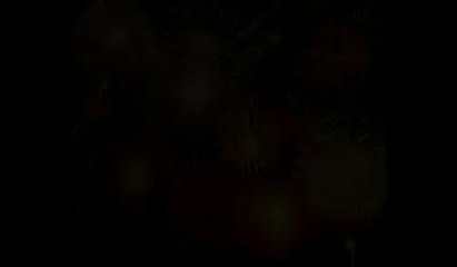 cristmas-daniela 2010