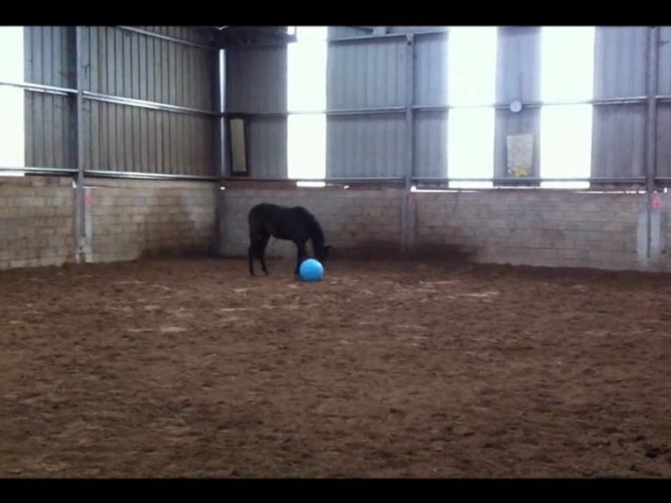 Azzario et son ballon