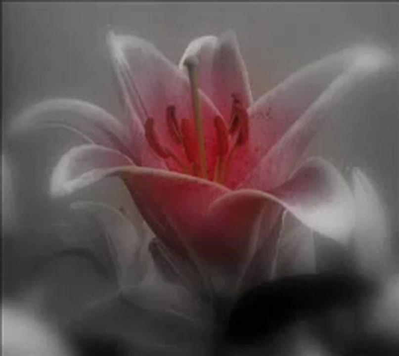 Hasret _ Fon Müziği ... -1seslidunya.com - YouTube