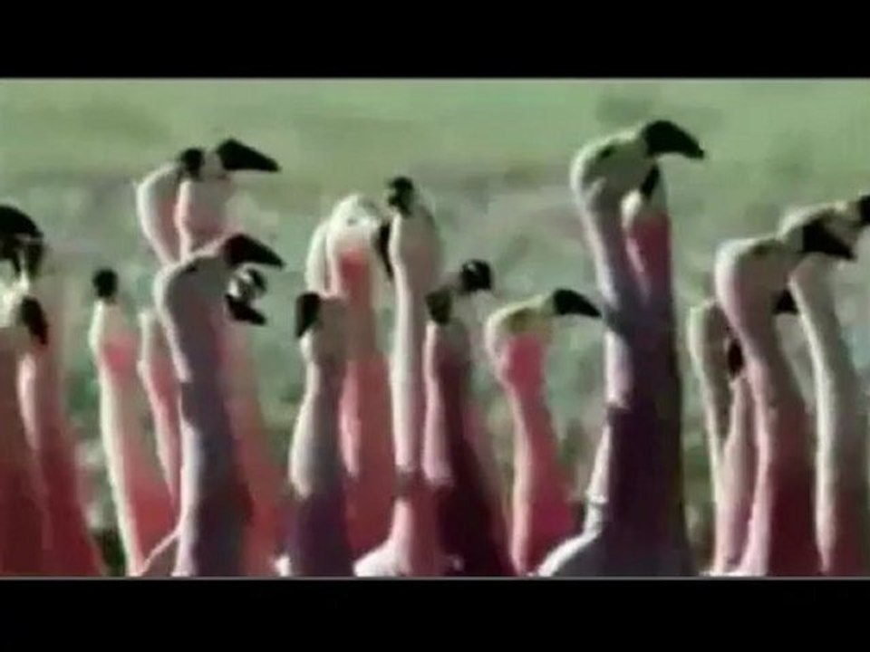 Como atraer el dinero  con la mente rapidamente