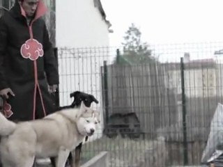 Parodie Akatsuki ( naruto )