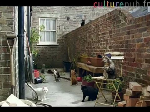 Genetically modified cats grow thumbs !