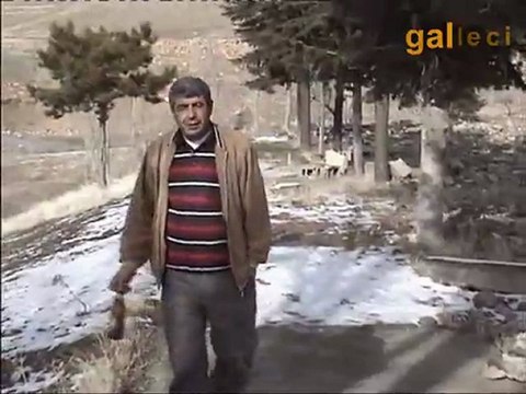 sivas caddesi galleciden