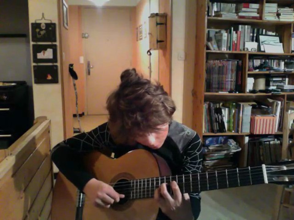 moonflower (flor d'luna) de santana guitare sèche