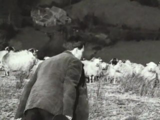 Perry Rose Why Should I Worry