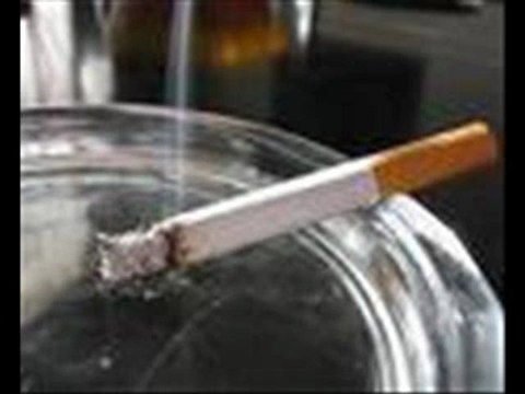 Gerçek Dostluğun Kardeşliğin Sevginin ve Sohbetin Tam Buluştuğu Nokta kardeslerinsesi.com