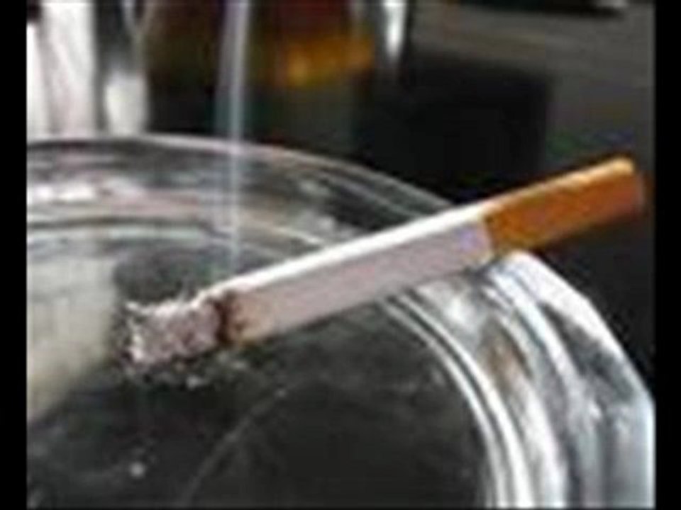 Gerçek Dostluğun Kardeşliğin Sevginin ve Sohbetin Tam Buluştuğu Nokta www.kardeslerinsesi.com