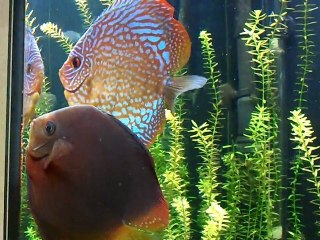 video-2012-02-27-19-46-28