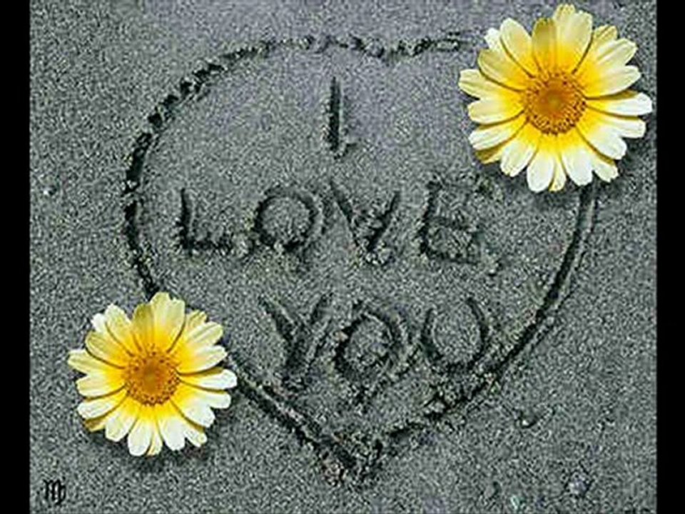 Kara - Söyleyemedim -Gerçek Dostluğun Kardeşliğin Sevginin ve Sohbetin Tam Buluştuğu Nokta www.kardeslerinsesi.com