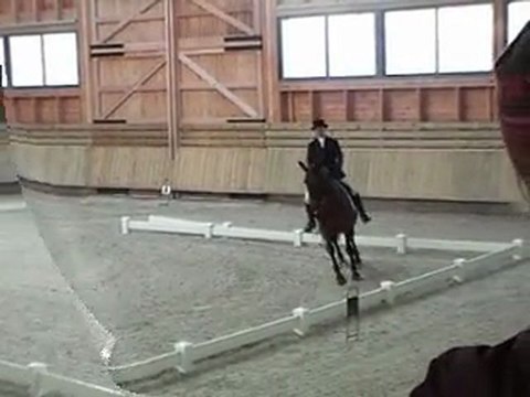 Solene AR Etalon admis Lusitanien