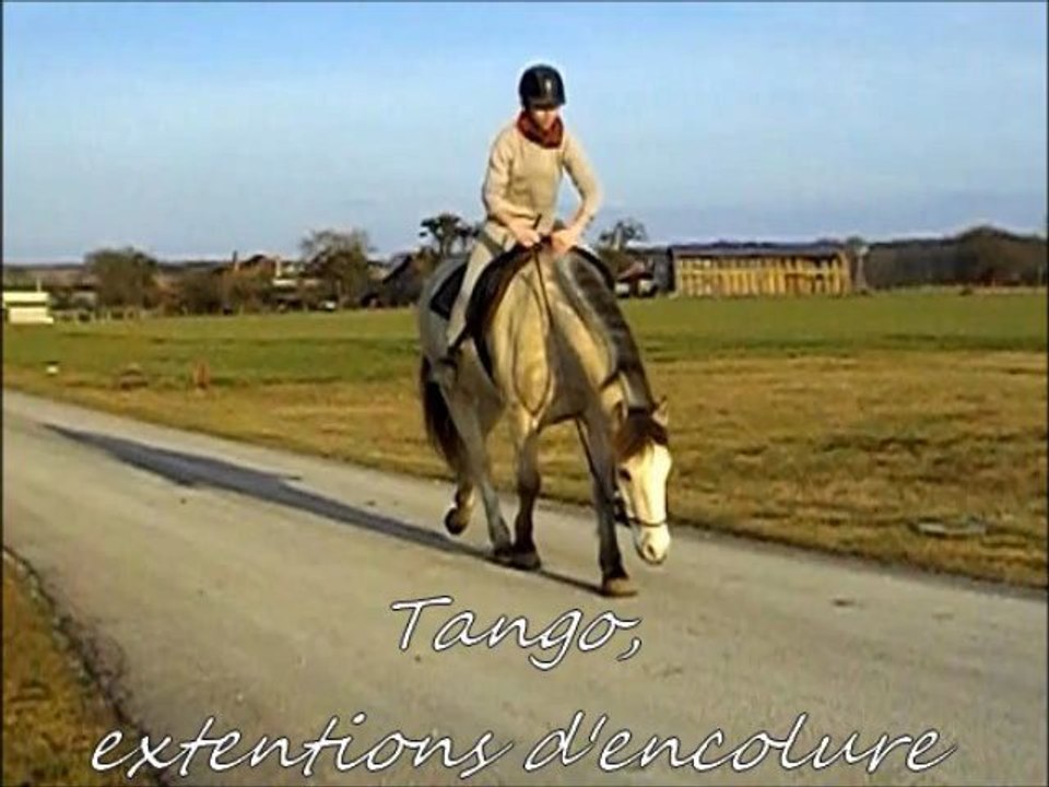 Extensions d'encolure