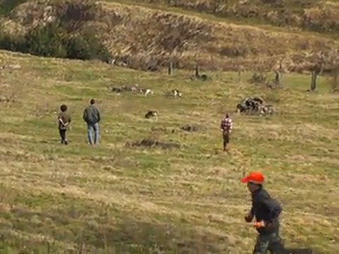 Brevet de chasse sur lievre chez les LALANDES en AVEYRON Me et Mr LARINIER 4eme partie