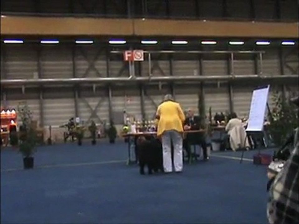 Exposition Internationale de Fribourg en suisse