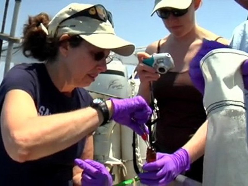 Digital Ocean Overview