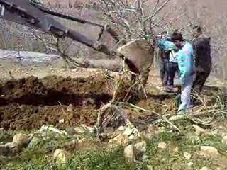 NUSRETTİN AKA HARFİYET NUSAYBİNDE AGAÇ DİKİMİ
