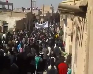 فري برس ضمير  الضمير تهتف لحمص في يوم الإستفتاء