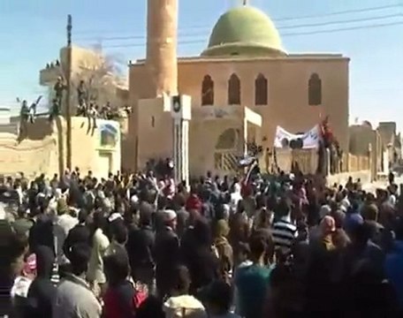 فري برس ضمير مظاهرة صباحية ترفض الدستور اللاشرعي والإستفتا