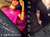 La amargada - Dolce el nene, DJ Sebas