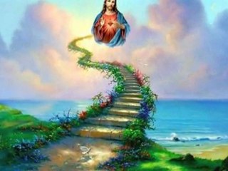 NO ME DIGAS ADIOS FRANCISCO