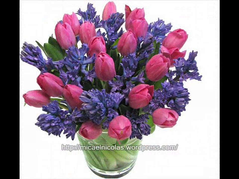 Pentru " ZIUA  FEMEII " (martie 2012)  --  LA  MULTI  ANI  !