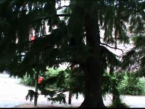 Vechtsport Winschoten: Klimmen en Koga Ryu Ninjitsu, Sensei Titus Jansen